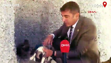 Sokak köpekleri için dağları deldi