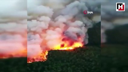 Firefighters battling to contain fire in SW Turkey