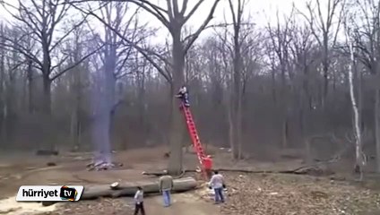 Kestiği dal üzerine düştü