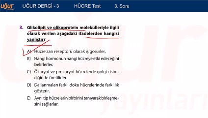 Biyoloji - Hücre Soru: 3