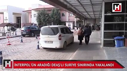 Interpol'ün aradığı Danimarka vatandaşı DEAŞ'lı Suriye sınırında yakalandı