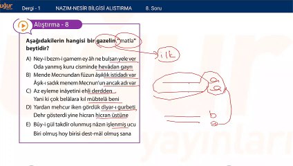 Türk Edebiyatı-Nazım Nesir Bilgisi Alıştırmalar Soru:8