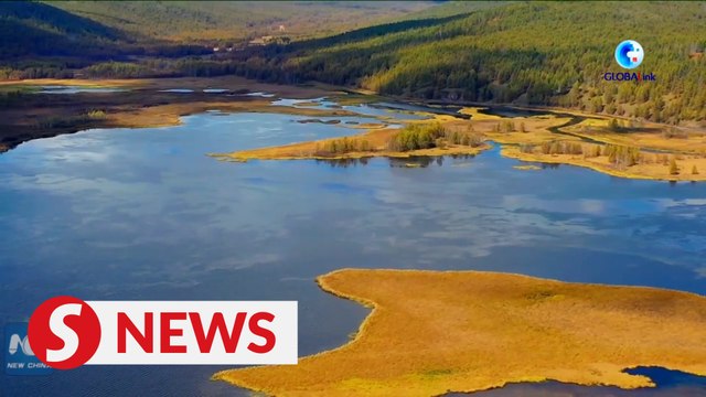 Arxan woodland embraces new amid ecological efforts