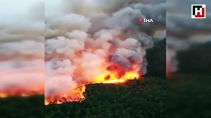 Dalaman’da orman yangını