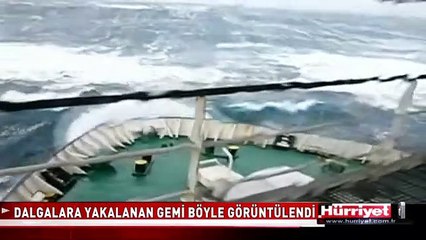 HİÇ BU KADAR YAKINDAN GÖRMEDİNİZ