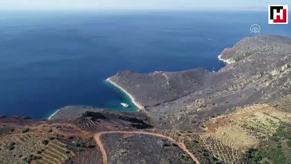 Muğla'daki orman yangını söndürüldü
