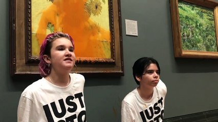 Ativistas formalmente acusadas de vandalismo após atirar sopa a quadro