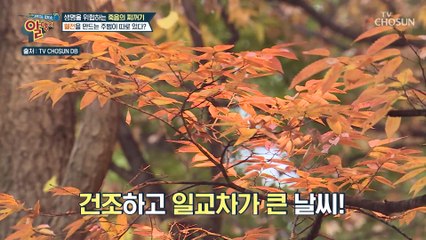 심장마비를 막고 혈관 건강관리의 핵심은 바로 혈전 제거 TV CHOSUN 20221016 방송