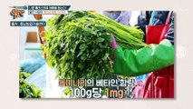 혈관 속 지방 배출은 돕고 치매 예방도 효과 있는 「유산균 발효 구기자」 TV CHOSUN 20221016 방송