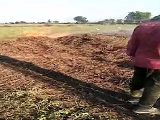 यह क्या हो रहा है...नहीं समझे, तो देखिए यह खबर जो किसानों की ज्वलंत पीड़ा है
