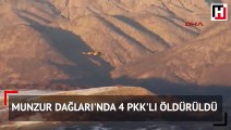 Munzur Dağları'nda 4 PKK'lı öldürüldü