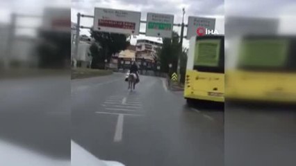 İstanbul'da inanılmaz görüntü: Atatürk Köprüsü'nden atla geçti