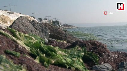 İzmir Körfezi’ndeki ürküten görüntüde son durum