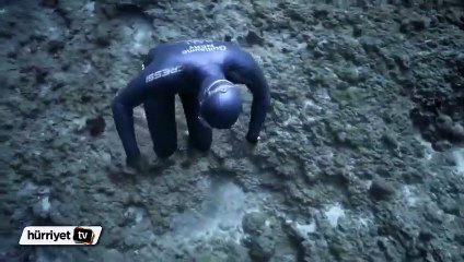 Okyanusun dibinde muhteşem gösteri