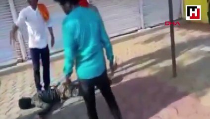 Hindistan'da "sığır eti" taşıyan Müslümanları ölümüne darp ettiler