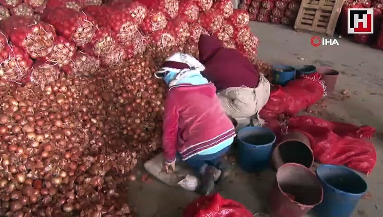 Bakanlık stok soğanın peşinde