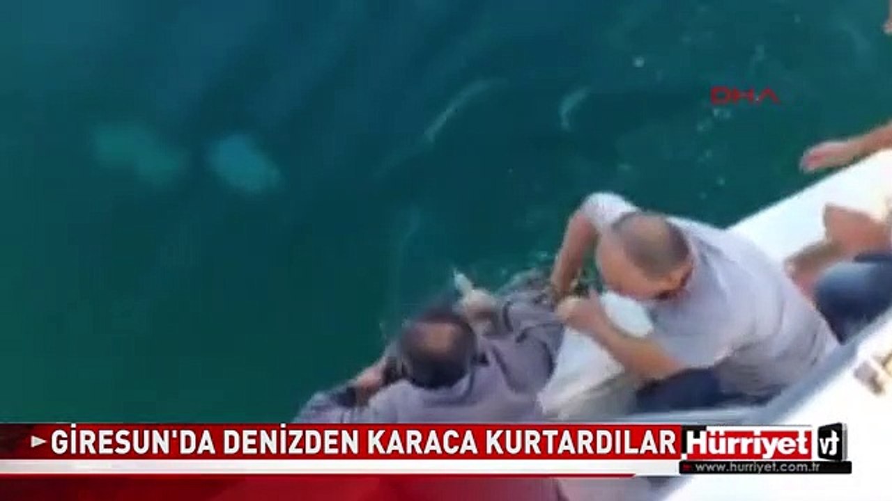 DENİZİN ORTASINDA BULDULAR