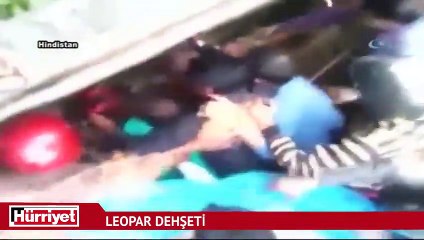 Hindistan’da leopar dehşeti: 20 yaralı