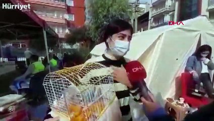 Muhabbet kuşu Şanslı, Özge'nin şansı oldu