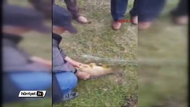 Kaçak avcıların baraj gölüne attığı ağlar toplandı