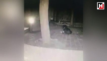 Bodrum’da şok görüntüler! Depremden 4 dakika önce