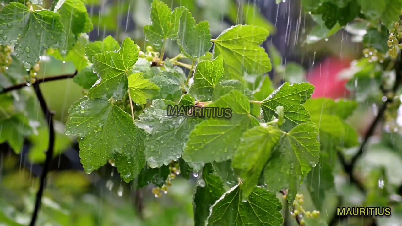 Rain thunder and piano mixed