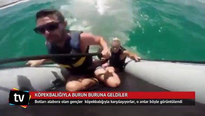 Köpekbalığıyla burun buruna geldiler
