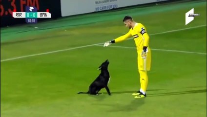 Sahadaki davetsiz misafir halinden çok memnun