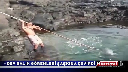 DEV BALIK GÖRENLERİ ŞAŞKINA ÇEVİRDİ