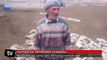 Yanlış iğne 200 kuzuyu telef etti iddiası