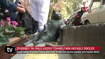 Ziverbey'in ünlü kedisi Tombili'nin heykeli dikildi