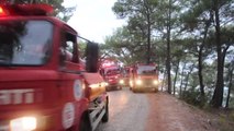 Son dakika haberleri... Kumluca ilçesindeki orman yangını kontrol altına alındı