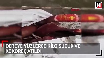 Sakarya'da dereye yüzlerce kilo sucuk ve kokoreç atıldı