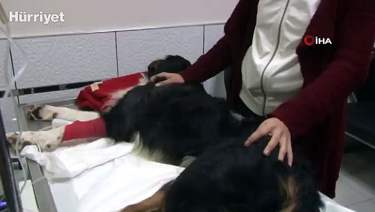 İzmir'deki depremde enkaz altında geçen 9 saatini bu sözlerle anlattı