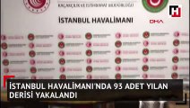 İstanbul Havalimanı'nda 93 adet yılan derisi yakalandı