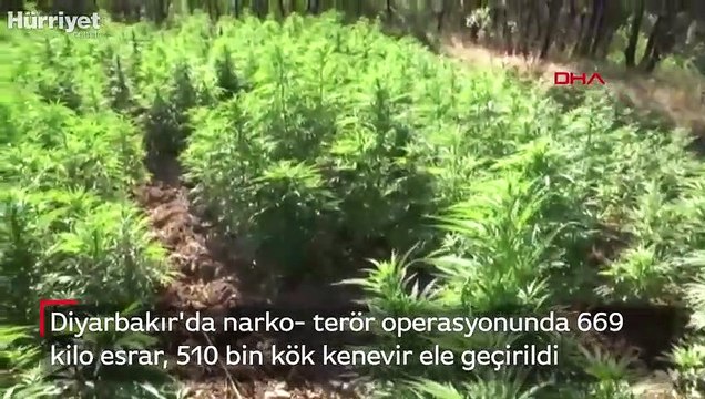 Diyarbakır'da narko- terör operasyonunda 669 kilo esrar, 510 bin kök kenevir ele geçirildi
