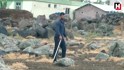 Bu köyde kimse uyuyamıyor... Boyları 3-5 metrelik yılanlar!