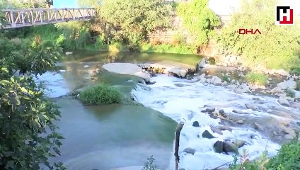 İsyan ettiren koku: Vatandaşlar soluğu orada aldı