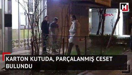 Karton kutuda, parçalanmış ceset bulundu