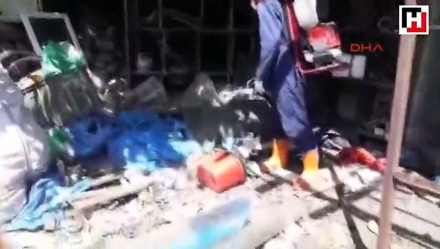 Zika virüsü salgınına neden olan Aedes türü sivrisinekler tespit edildi