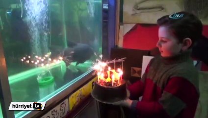 Dünyanın en yaşlı piranasına doğum günü partisi