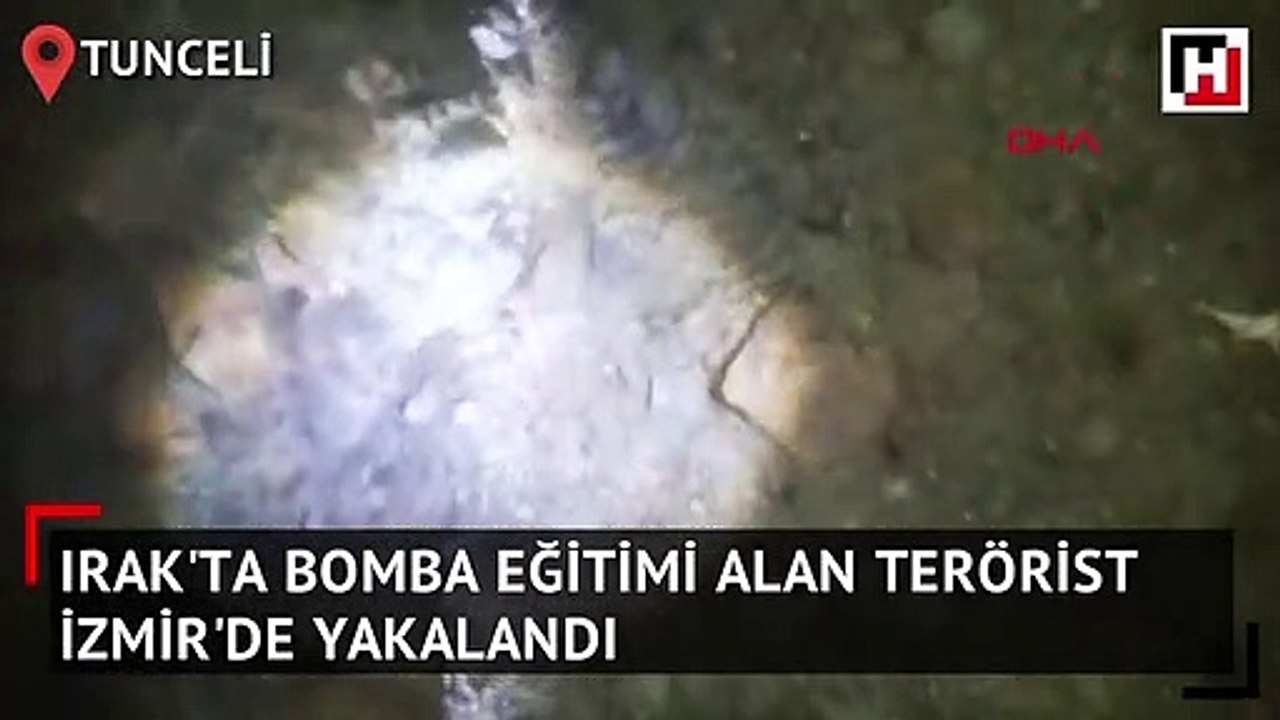 Tunceli'de kanguru faresi görüntülendi