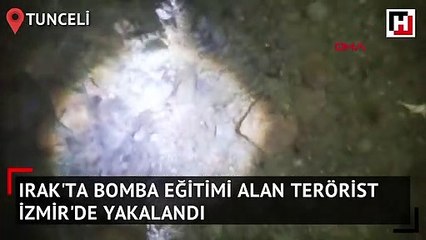 Tunceli'de kanguru faresi görüntülendi