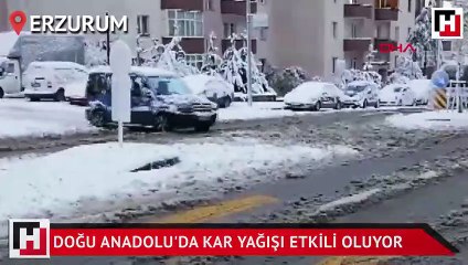 Doğu Anadolu'da kar yağışı etkili oluyor