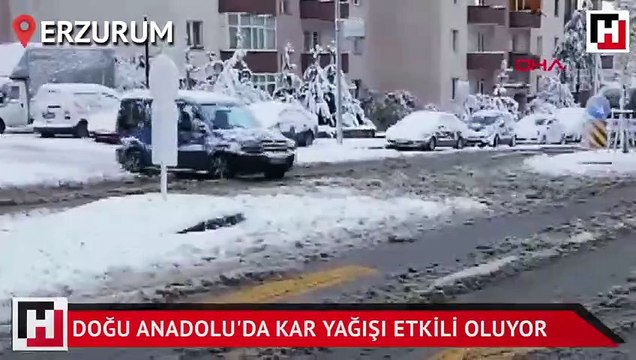 Doğu Anadolu'da kar yağışı etkili oluyor