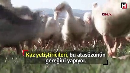Doğu Ekspresi seferleri, kaz eti satışını artırdı