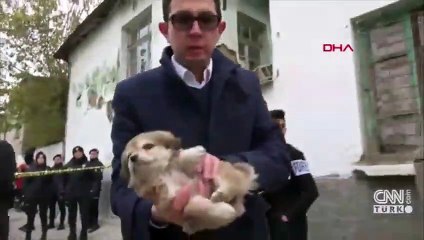 ‘Miracle’ dog rescued from rubble of collapsed building