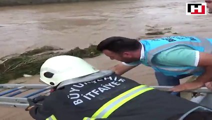 Dog rescued amid flash flood in northern Turkey
