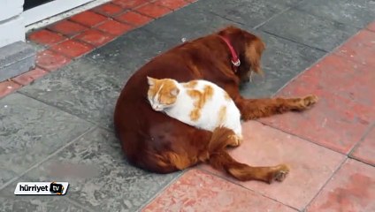 Böyle dostluk kimde var?