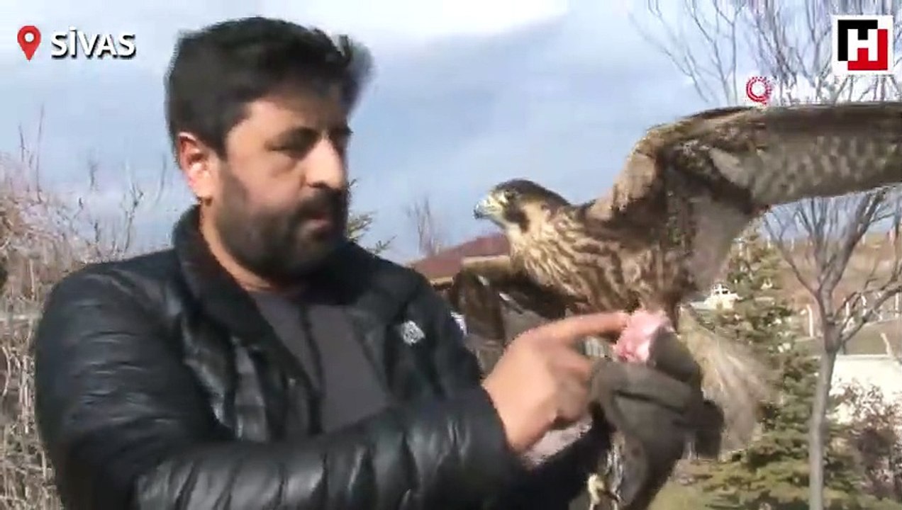 Almanya'dan özel olarak getirttiği Doğan için bir otomobil parası harcadı
